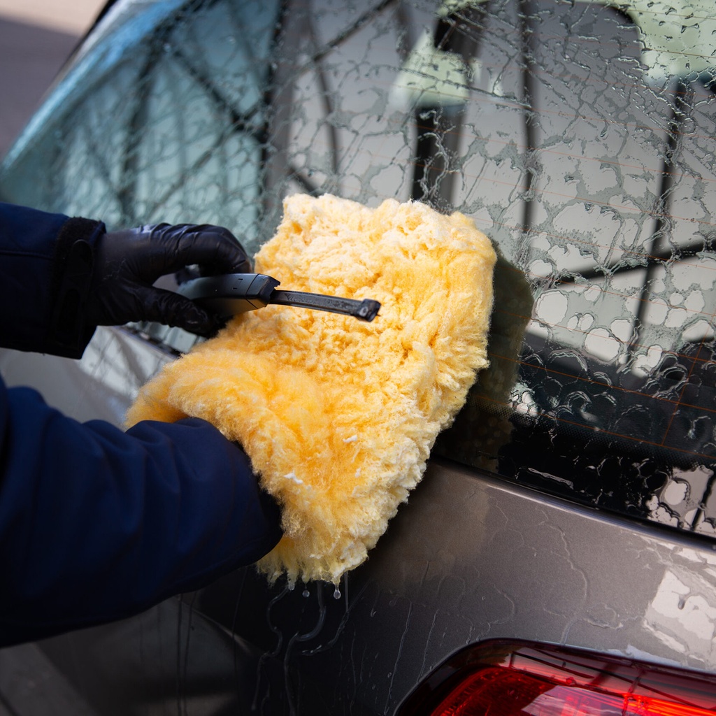Wash & Wax Shampoo