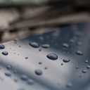 Wet Coat