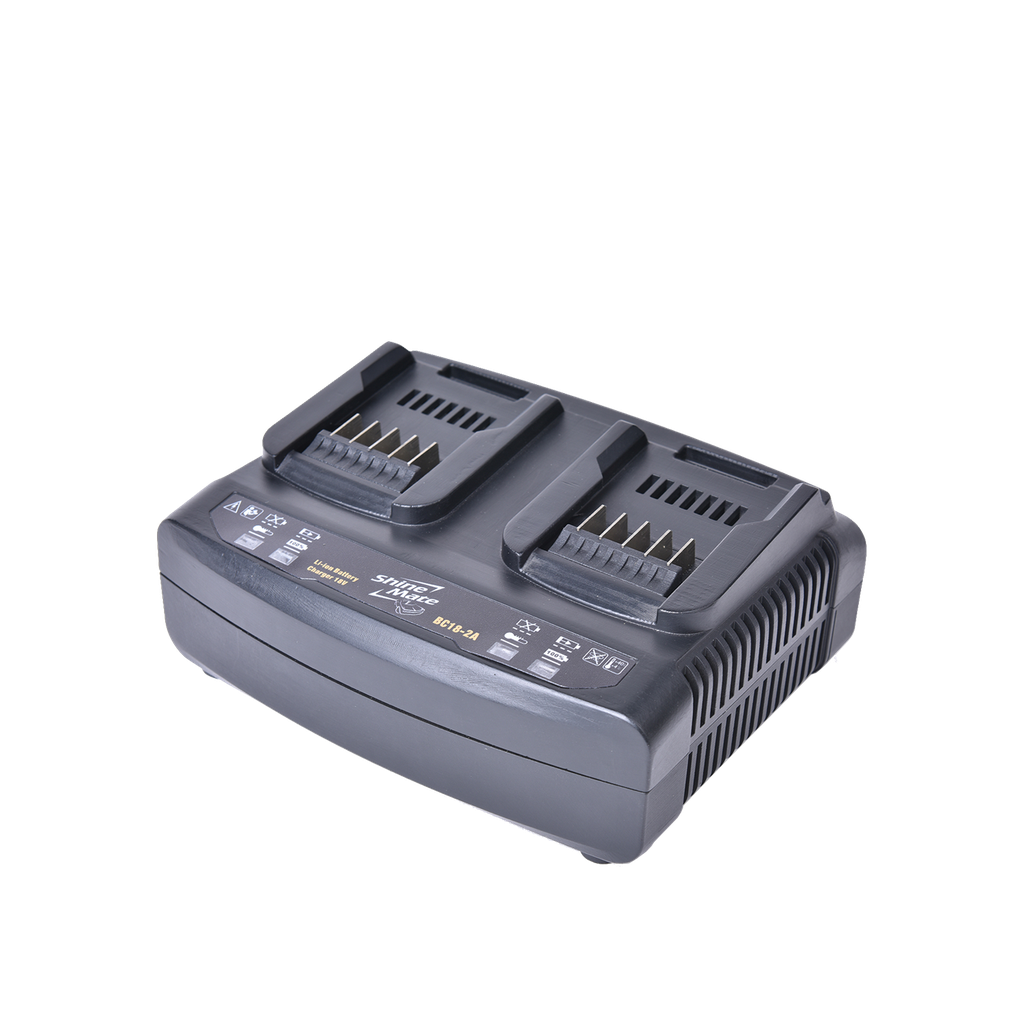 Dual-Channel Rapid Charge